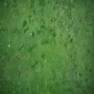 green textures