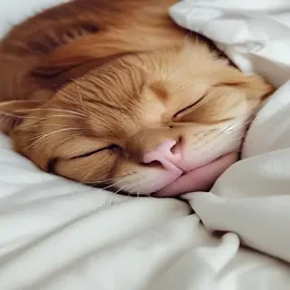 sleepy png
