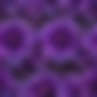 purple flower png