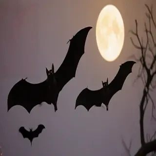 pictures of bats for halloween