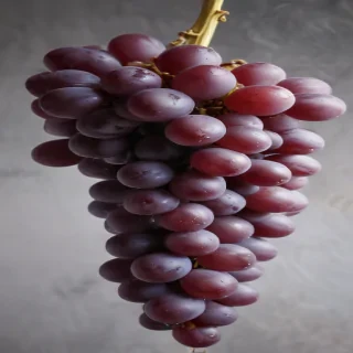 grapes png