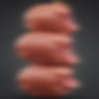 ham png