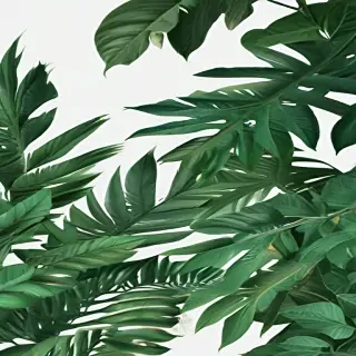 green aesthetic png