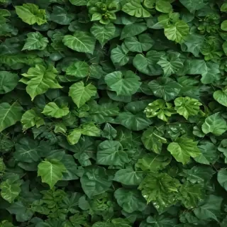 background green leaves