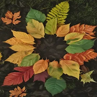 leaf circle