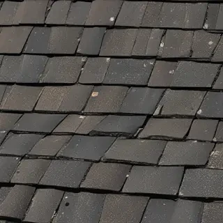pictures of shingles