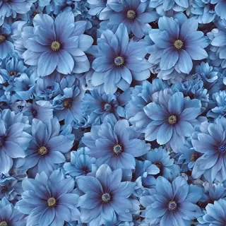 blue flower wallpaper aesthetic