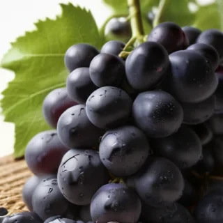 grapes clipart black and white