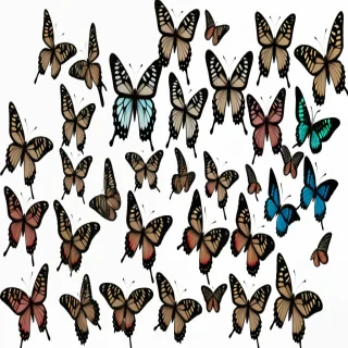 butterflies transparent