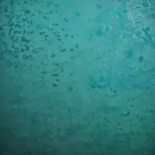 blue green background