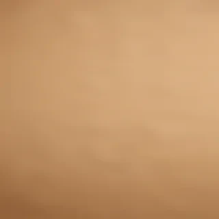 craft paper texture