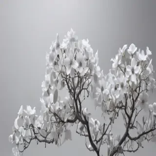 white grey background