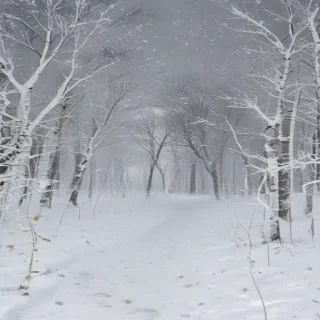 snow transparent