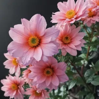 aesthetic floral iphone wallpaper