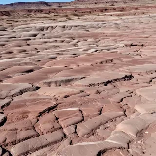 petrified forest