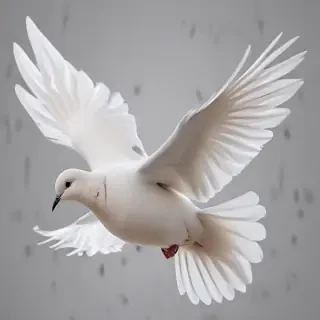 png dove