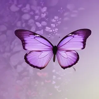 purple butterfly background
