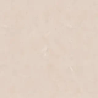aesthetic neutral wallpaper