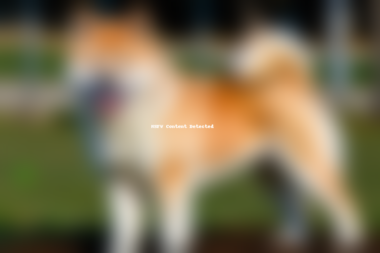 akita inu dog breed