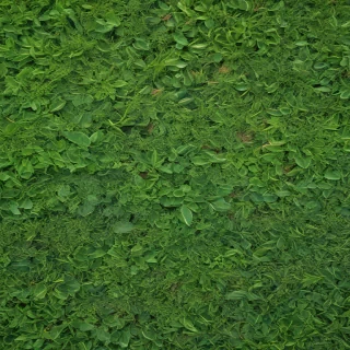 green textures