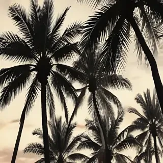 palm tree background