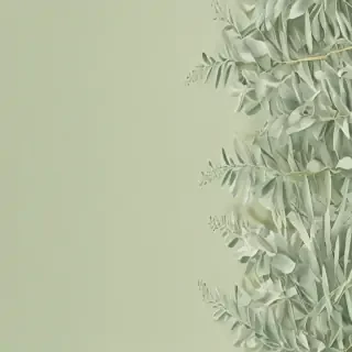 light sage green background