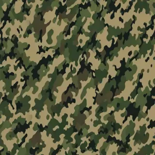 camo png