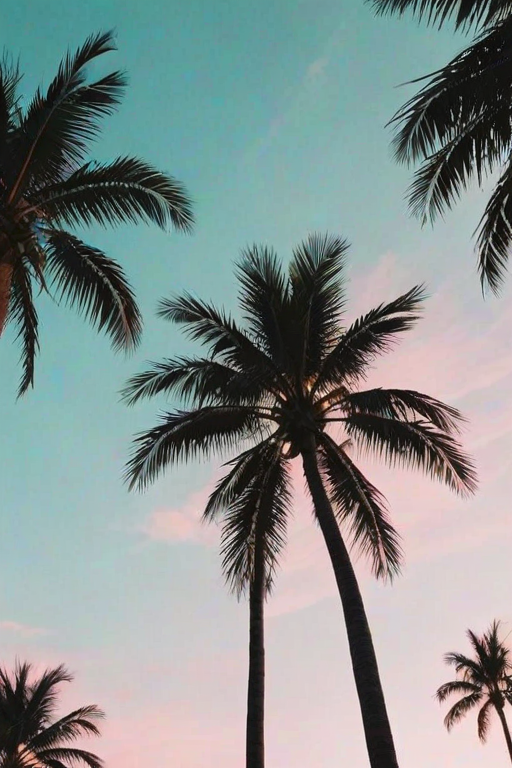aesthetic palm tree wallpaper