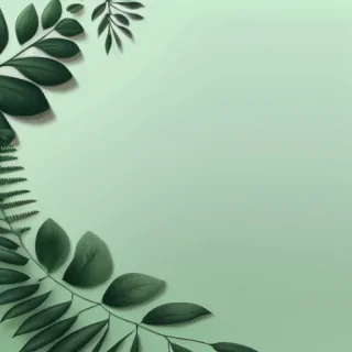 aesthetic green backgrounds