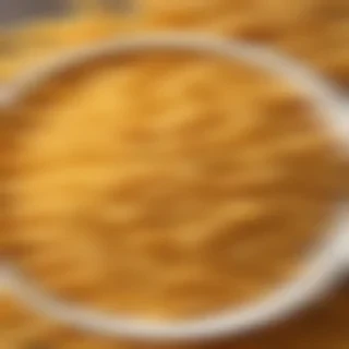 macaroni and cheese png