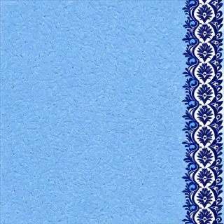 blue border