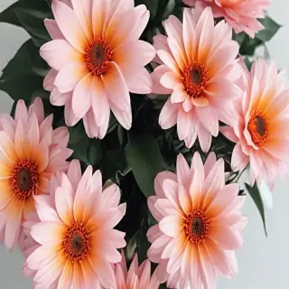 cute aesthetic flower wallpapers