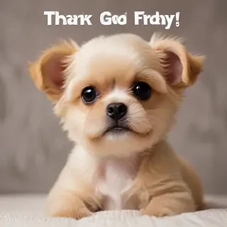 images of thank god its friday