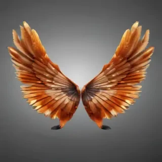 angle wings png