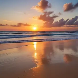 beach background sunset