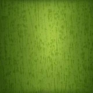plain green wallpaper