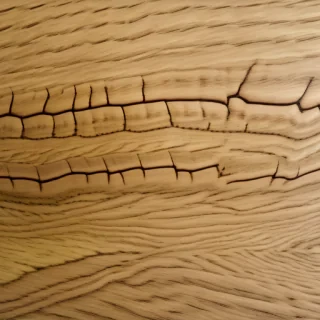 oak texture