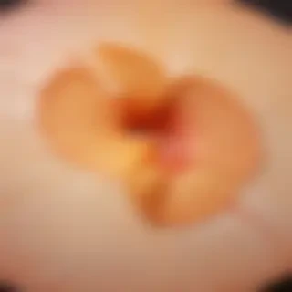 peach color bg