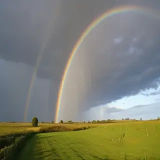 rainbow pictures