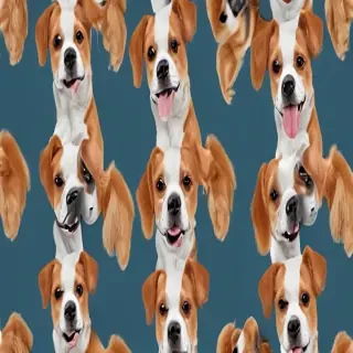 funny backgrounds of dogs