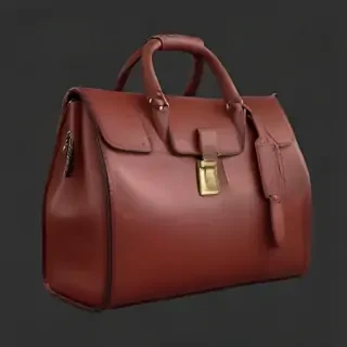 bag png
