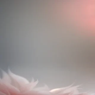 soft backgrounds