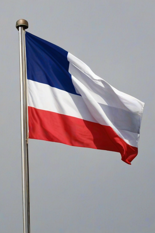 french flag png
