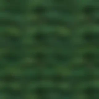 plant backgrounds