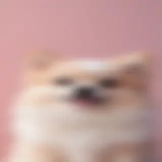cute wallpapers for iphone aesthetic