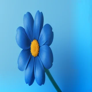 blue background flower