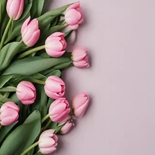 tulips wallpaper aesthetic