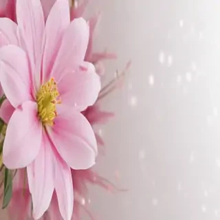 light flower background