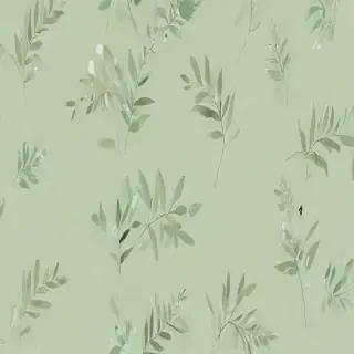 light sage green background