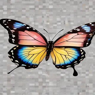 butterfly clipart png
